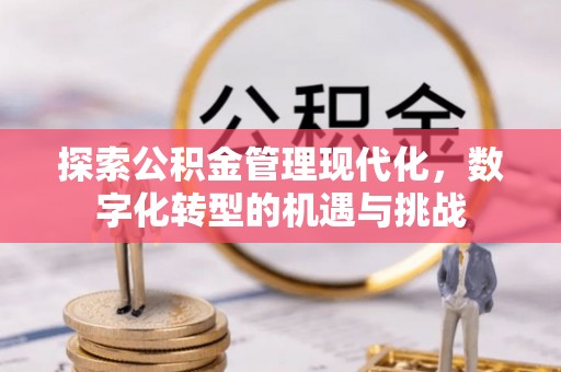 藤县探索公积金管理现代化，数字化转型的机遇与挑战