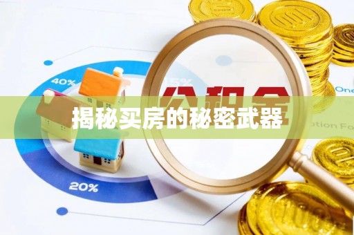 藤县揭秘买房的秘密武器