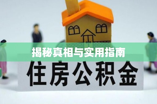 藤县揭秘真相与实用指南