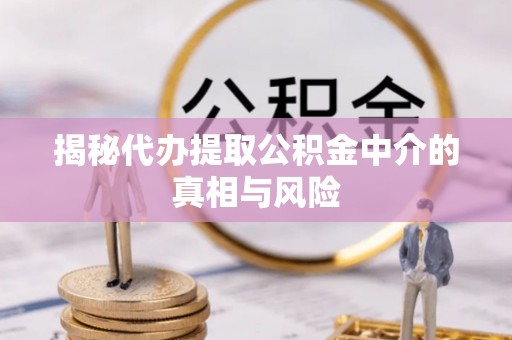 藤县揭秘代办提取公积金中介的真相与风险