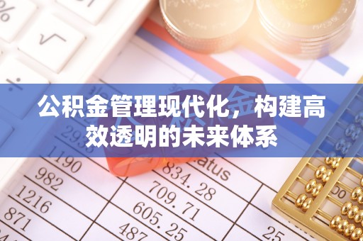 藤县公积金管理现代化，构建高效透明的未来体系