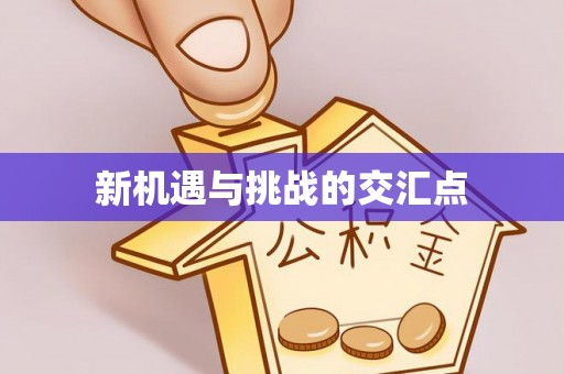 藤县新机遇与挑战的交汇点