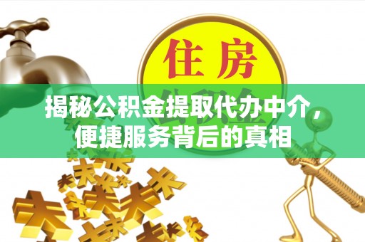 藤县揭秘公积金提取代办中介，便捷服务背后的真相