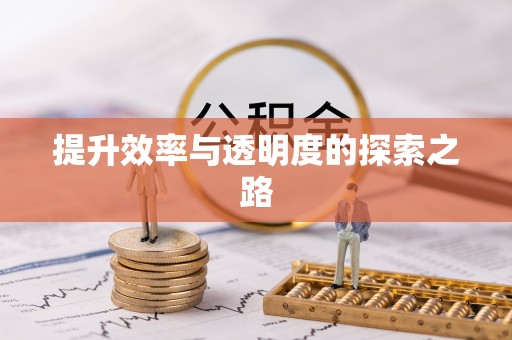 藤县提升效率与透明度的探索之路