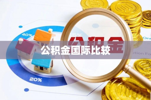 藤县公积金国际比较