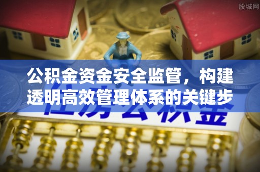 藤县公积金资金安全监管，构建透明高效管理体系的关键步骤