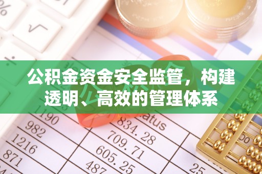 藤县公积金资金安全监管，构建透明、高效的管理体系