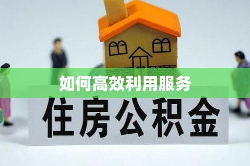 藤县如何高效利用服务