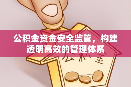 藤县公积金资金安全监管，构建透明高效的管理体系