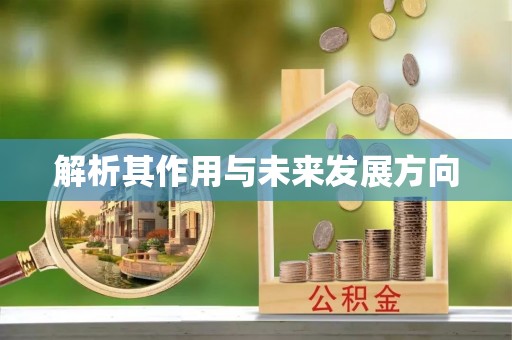 藤县解析其作用与未来发展方向