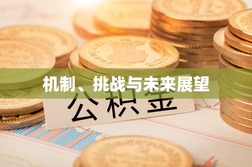 藤县机制、挑战与未来展望
