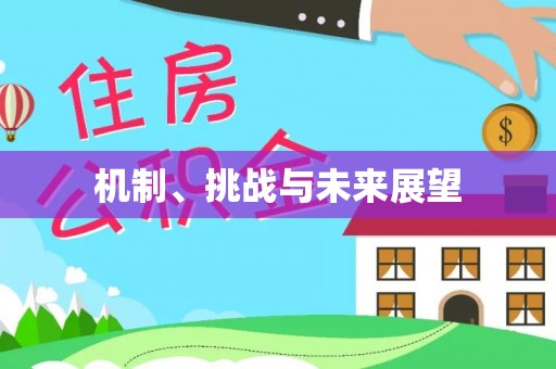 藤县机制、挑战与未来展望